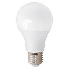 LED Lemputė E27 A60 bulb 12W DW